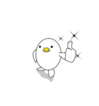 interesting duck ver.1（個別スタンプ：6）