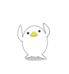 interesting duck ver.1（個別スタンプ：14）