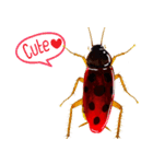 Cockroach In Love（個別スタンプ：1）