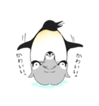 お股にペンギン（個別スタンプ：11）