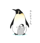お股にペンギン（個別スタンプ：12）