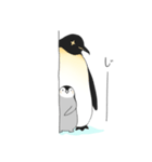 お股にペンギン（個別スタンプ：13）