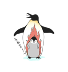 お股にペンギン（個別スタンプ：14）