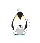 お股にペンギン（個別スタンプ：24）