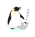 お股にペンギン（個別スタンプ：28）