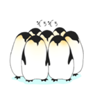 お股にペンギン（個別スタンプ：40）