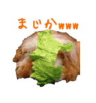 モルモットとデグーと犬と猫（個別スタンプ：20）