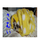 べるりんの壁すたんぷ（個別スタンプ：2）