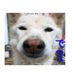 べるりんの壁すたんぷ（個別スタンプ：5）