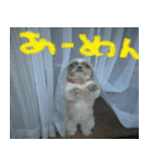 べるりんの壁すたんぷ（個別スタンプ：6）