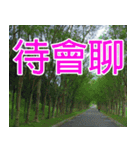 My funny sticker-2（個別スタンプ：9）