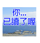My funny sticker-2（個別スタンプ：11）