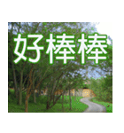 My funny sticker-2（個別スタンプ：16）