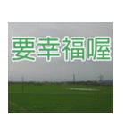 My funny sticker-2（個別スタンプ：20）