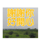 My funny sticker-2（個別スタンプ：23）