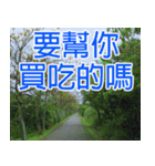 My funny sticker-2（個別スタンプ：24）