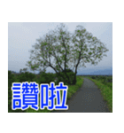 My funny sticker-2（個別スタンプ：40）