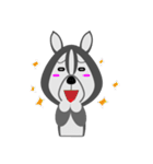 AINUM Siberian（個別スタンプ：9）