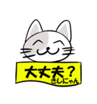 苗字に「きし」の字が付く猫キャラスタンプ（個別スタンプ：27）