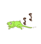 レオン（個別スタンプ：8）