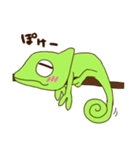 レオン（個別スタンプ：22）