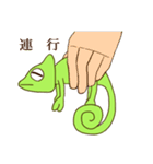 レオン（個別スタンプ：31）