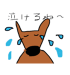 カンガルーのカン太くん（個別スタンプ：33）