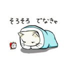 冬のたまトドスタンプ（個別スタンプ：4）