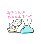冬のたまトドスタンプ（個別スタンプ：6）