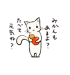 冬のたまトドスタンプ（個別スタンプ：20）