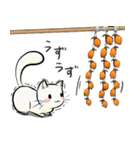 冬のたまトドスタンプ（個別スタンプ：22）