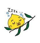 だんごうおブラザーズ（個別スタンプ：5）