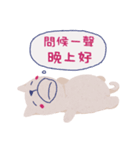 La La cat - elder quote reform ver..（個別スタンプ：3）