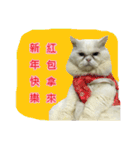 Old cat Happy Chinese New Year（個別スタンプ：4）