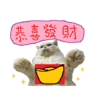 Old cat Happy Chinese New Year（個別スタンプ：29）