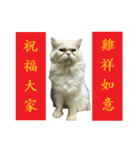 Old cat Happy Chinese New Year（個別スタンプ：32）