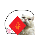 Old cat Happy Chinese New Year（個別スタンプ：34）