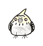 We are Okame（個別スタンプ：5）