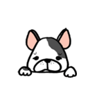 Another Frenchie Life（個別スタンプ：3）