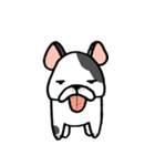Another Frenchie Life（個別スタンプ：8）