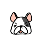 Another Frenchie Life（個別スタンプ：12）