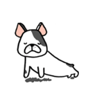 Another Frenchie Life（個別スタンプ：13）