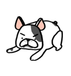 Another Frenchie Life（個別スタンプ：17）