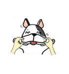 Another Frenchie Life（個別スタンプ：24）