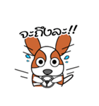 FongNom Beagle（個別スタンプ：16）