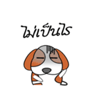 FongNom Beagle（個別スタンプ：30）