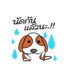 FongNom Beagle（個別スタンプ：37）