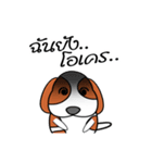 FongNom Beagle（個別スタンプ：38）