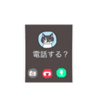 日常会話で使えるゆるいねこ2（個別スタンプ：16）