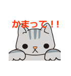 暇すぎるにゃんこ（個別スタンプ：5）